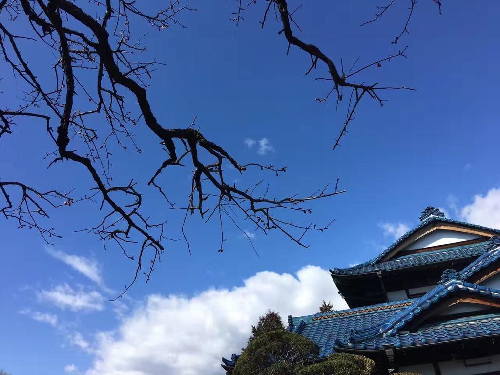 Kougetsu Sanso -- Moon Villa In Tokyo Hachioji Exterior foto